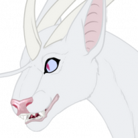 Thumbnail image for S-024: Riza