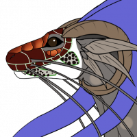 Thumbnail for I-2792: Unnamed