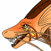 Thumbnail for I-2843: Clownfish