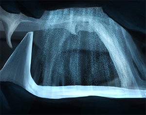 Background: Sea Caves