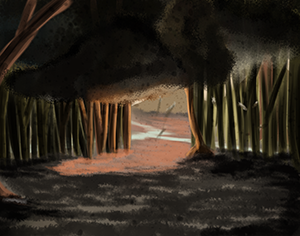 Background: Forest Clearing