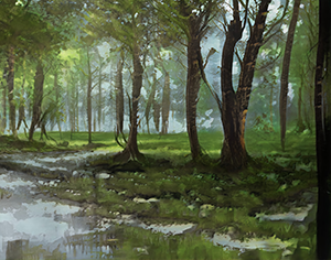 Background: Beautiful Forest