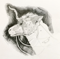 Submission thumbnail