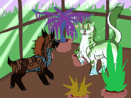 Submission thumbnail